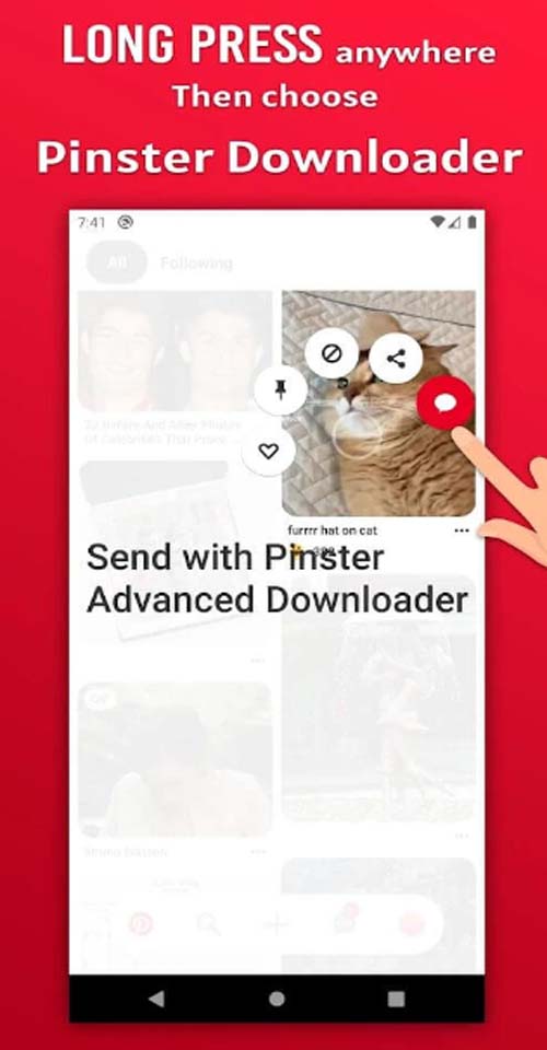 Pinster Advanced Downloader 1